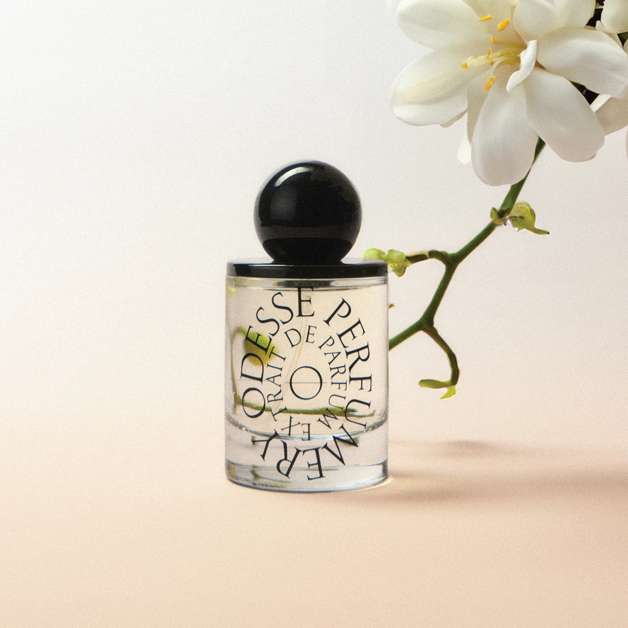 ODESSE PERFUMERY – Forest Floor Extrait De Parfum